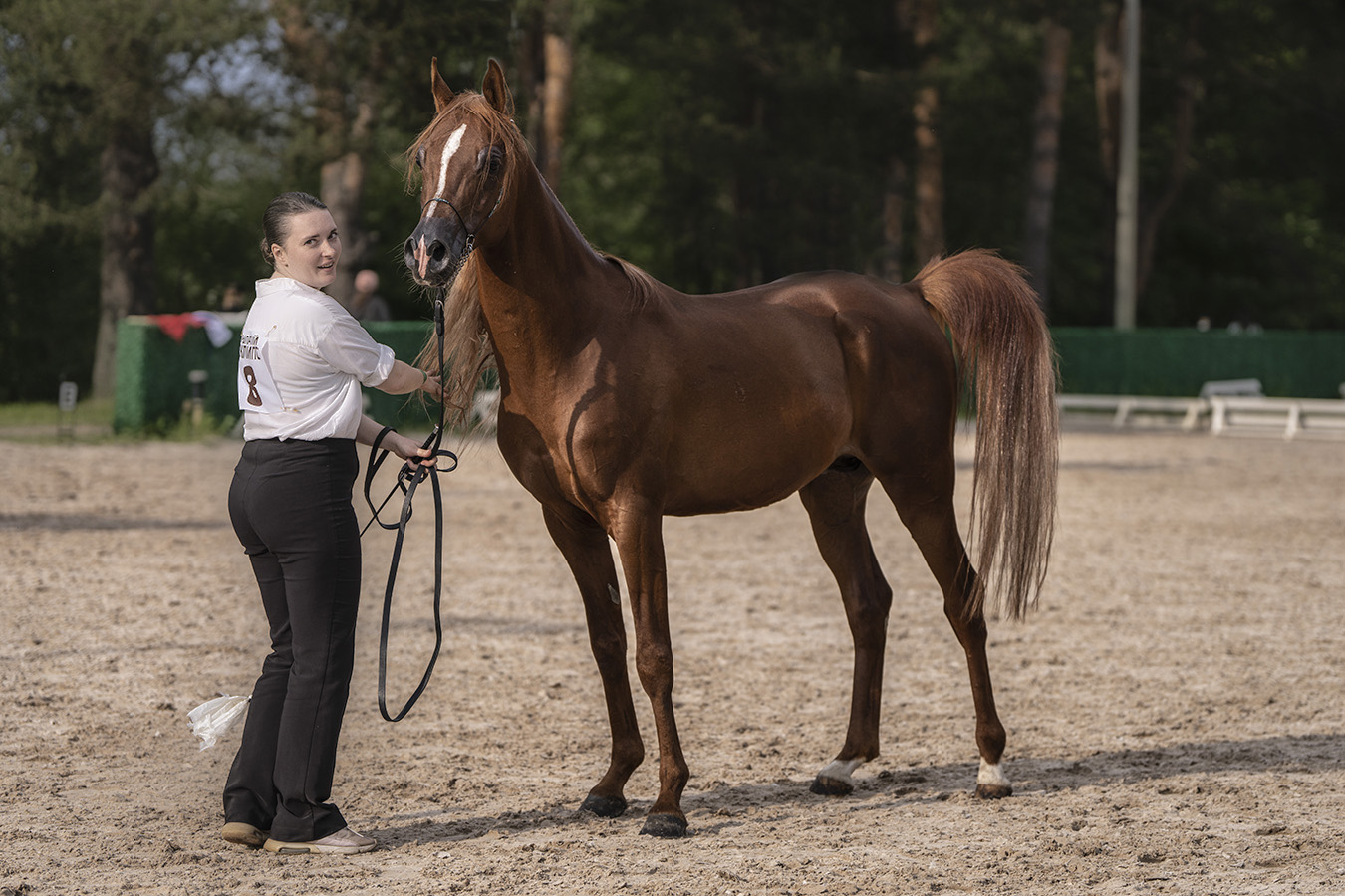 ��������: �������� ������