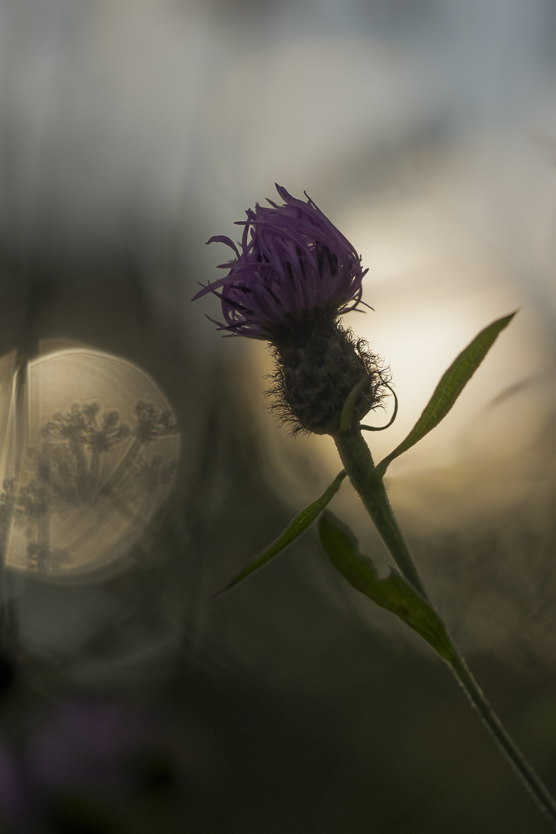 �����: ��� ������