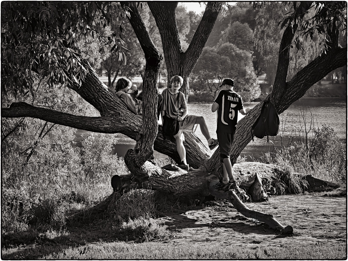 ����: ��������