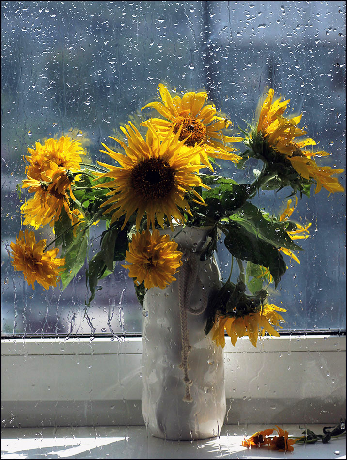 ���������: ��� ����� � �����