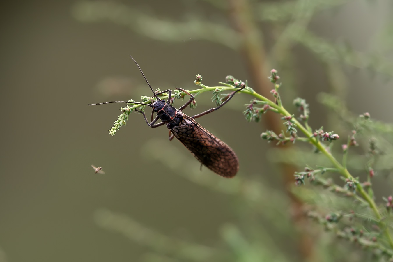 �����/����: ������ �����?