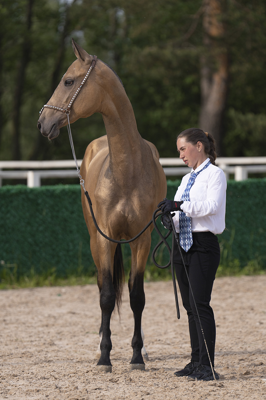 ��������: ��������� 2025