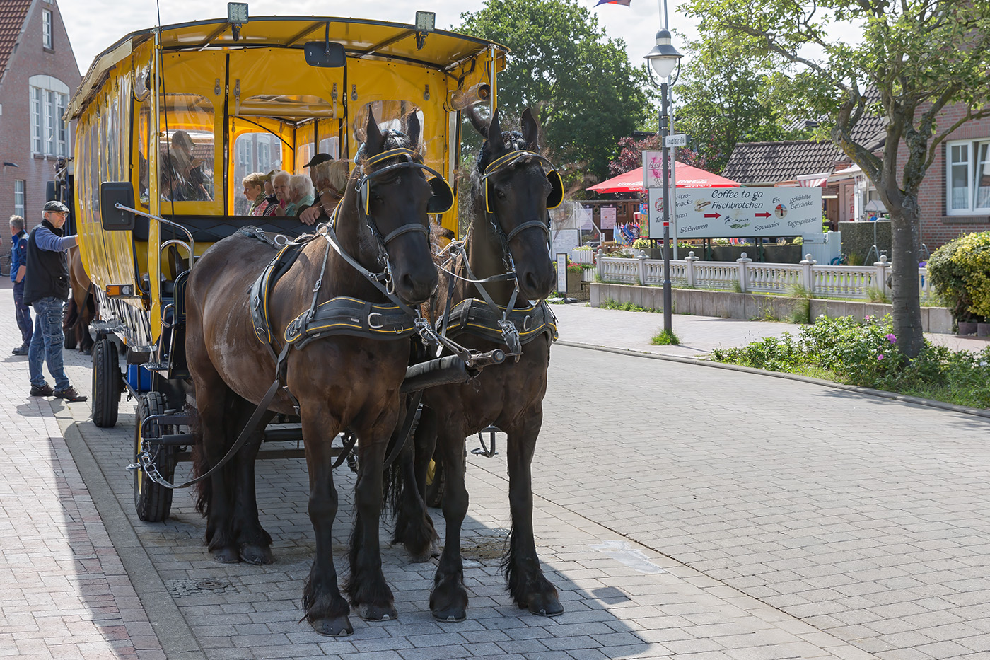 ����: ����� ������.