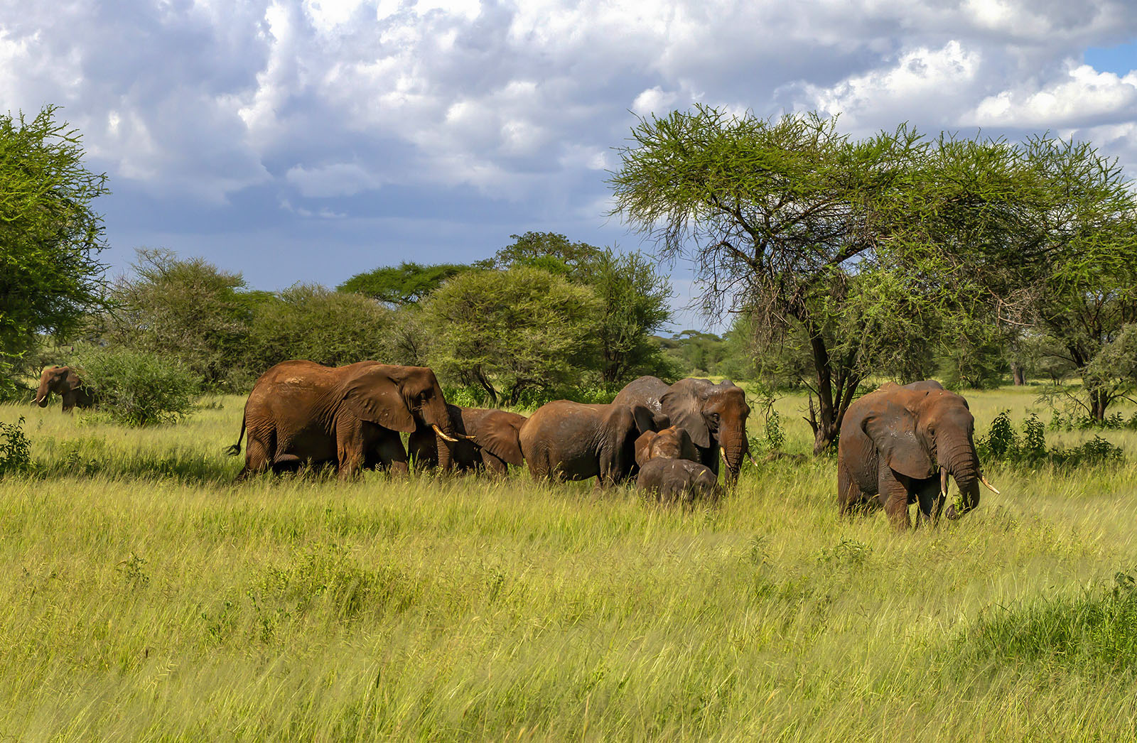 �����: ����� ���������