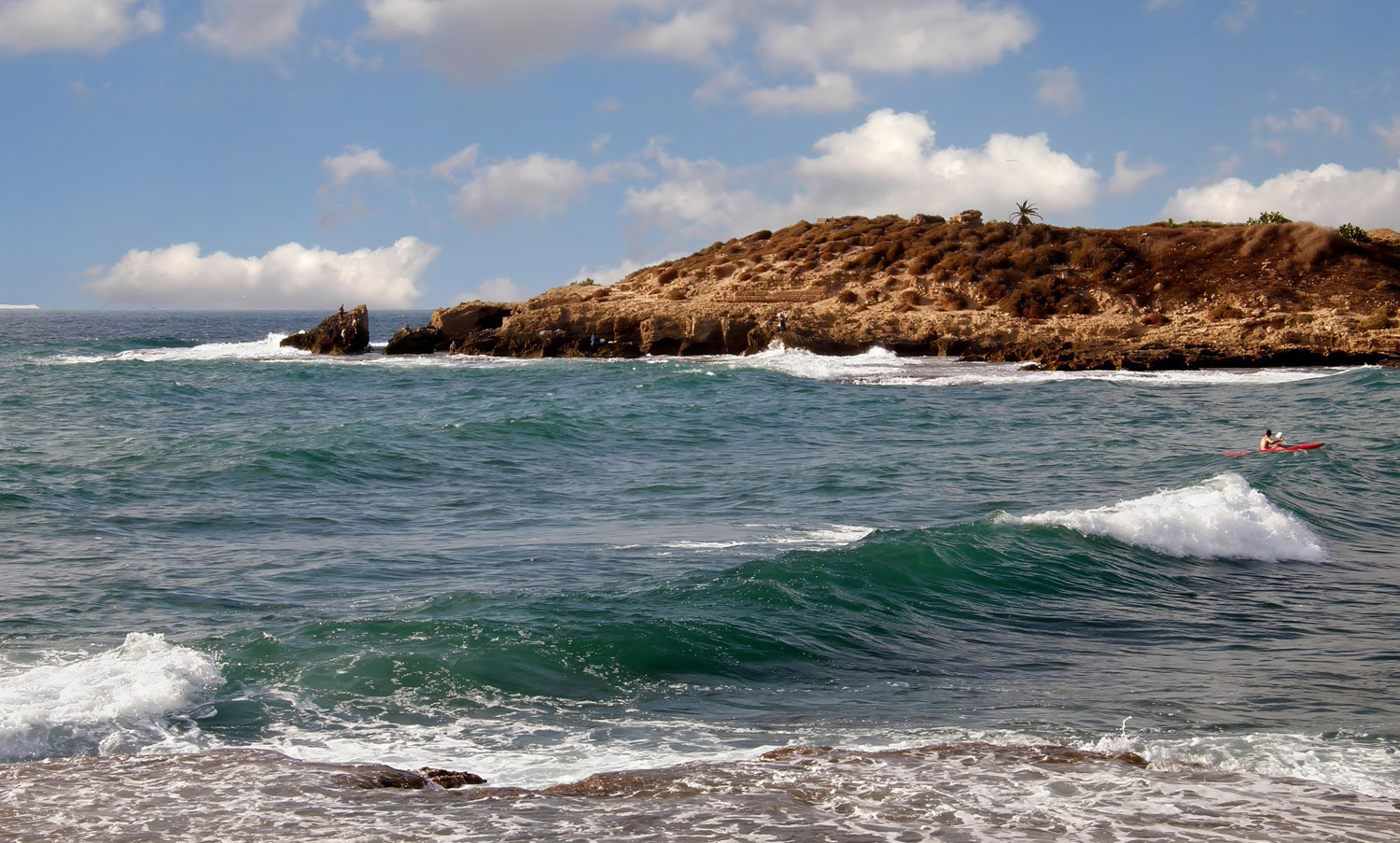 ������:  �� ����� ����� ����