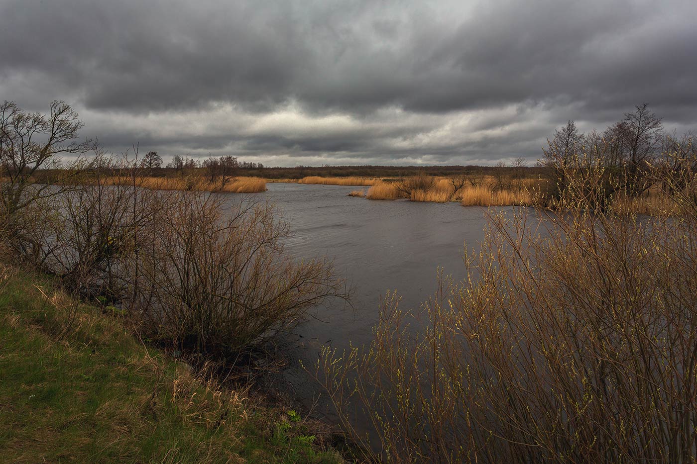 ������: ��������