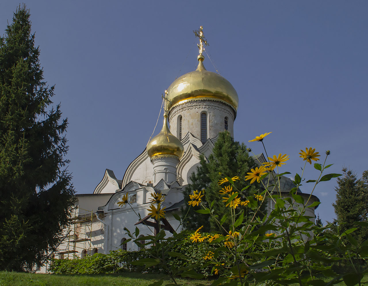 �����: ***