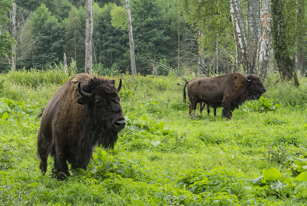 �����: ������ �� �� � ������ �������.