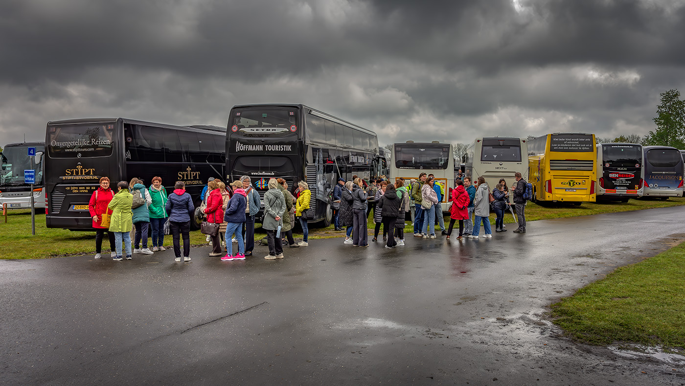 ����: ���������