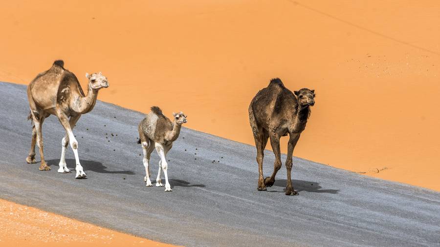 �����: �������� �������