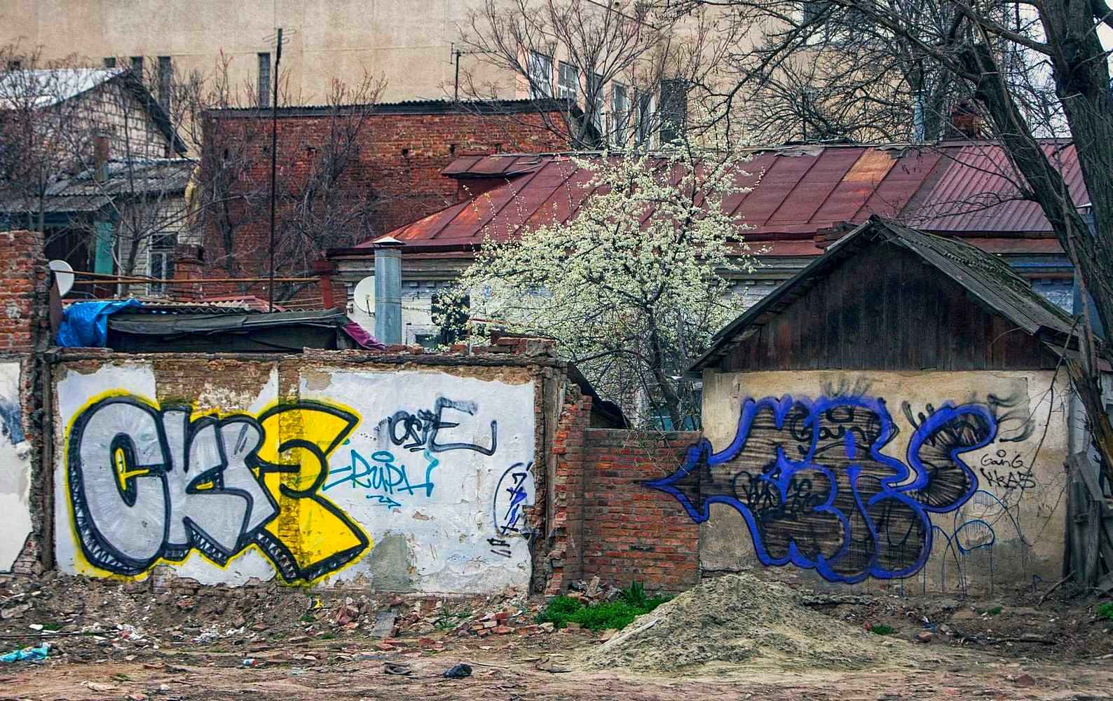 �����: ...