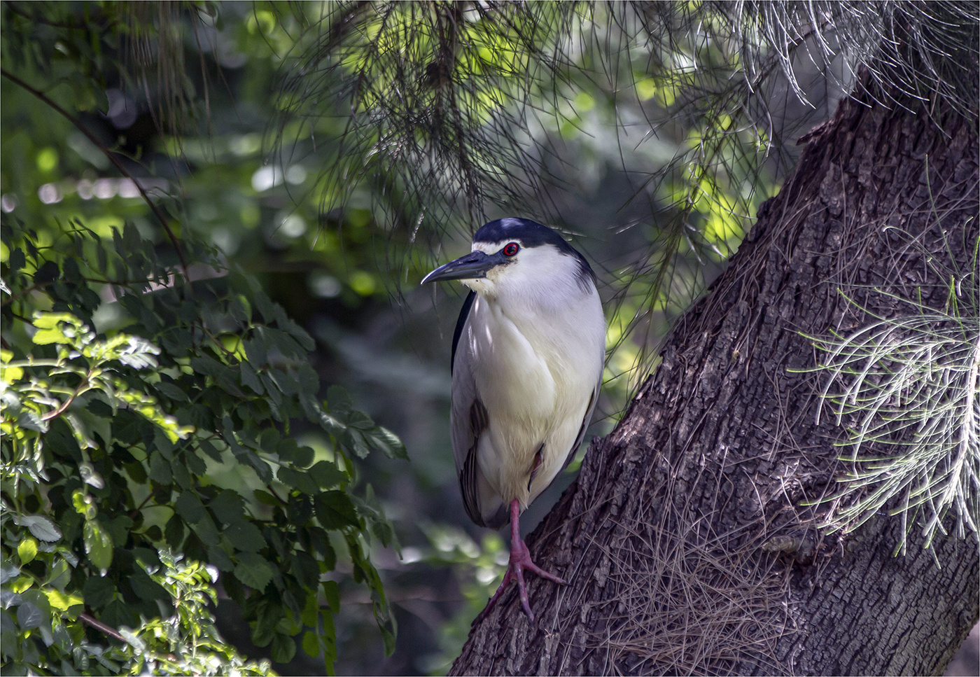 �����: �� ����� �����