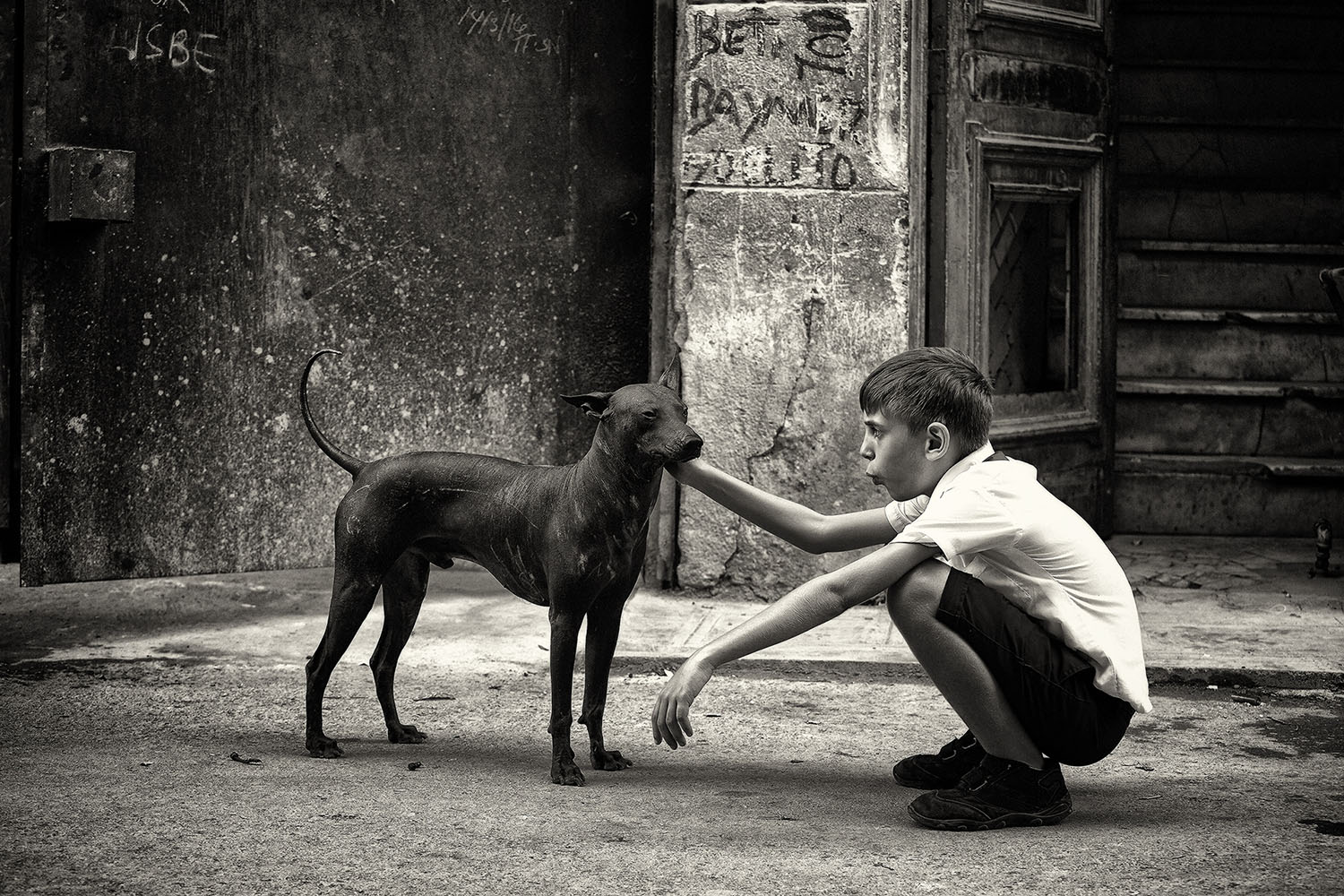 ����: ����