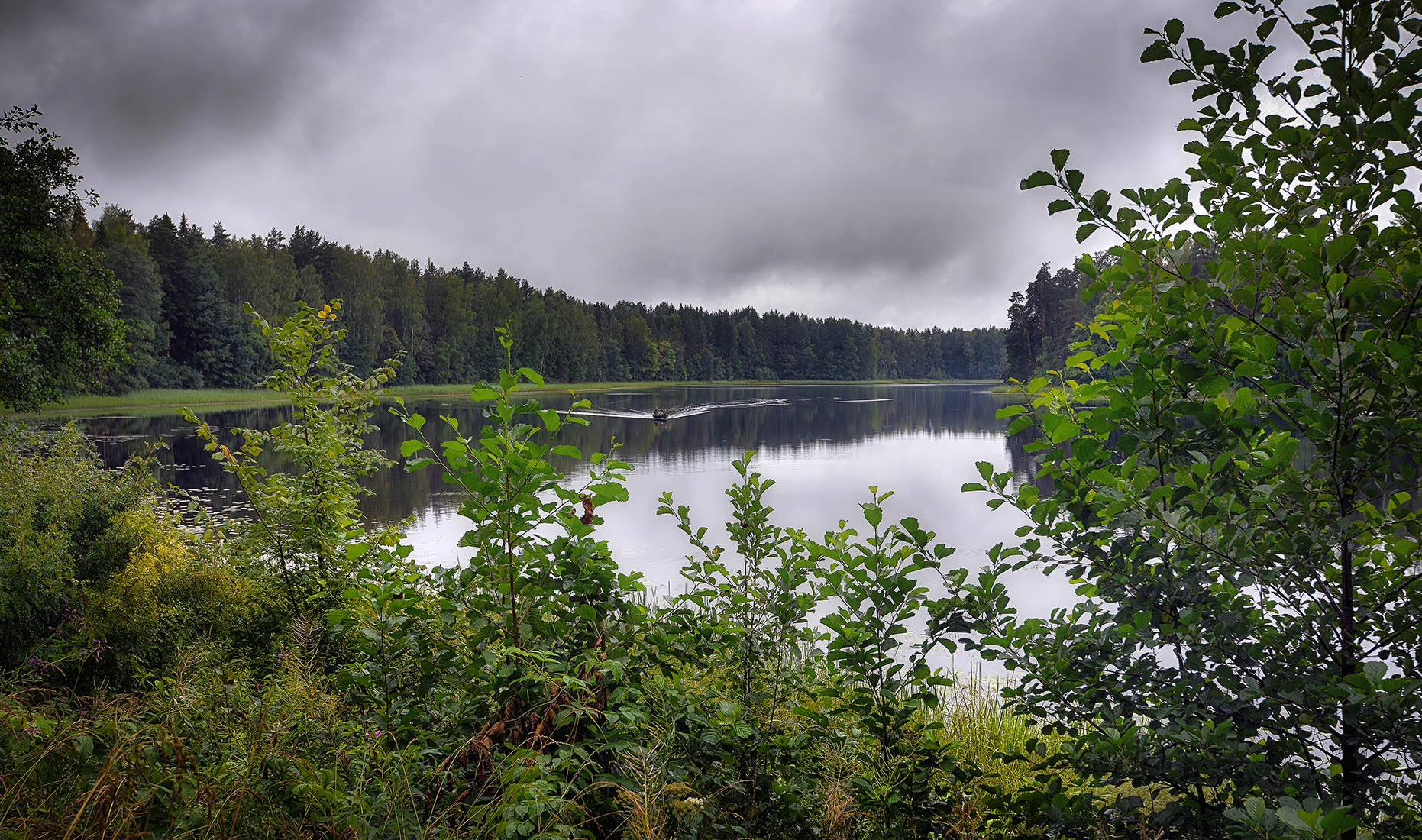 ������: ***