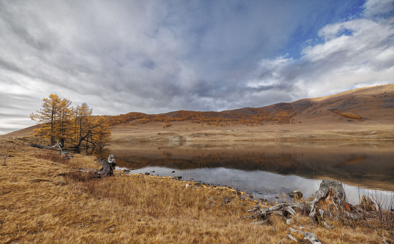 ������: ����� ���-���