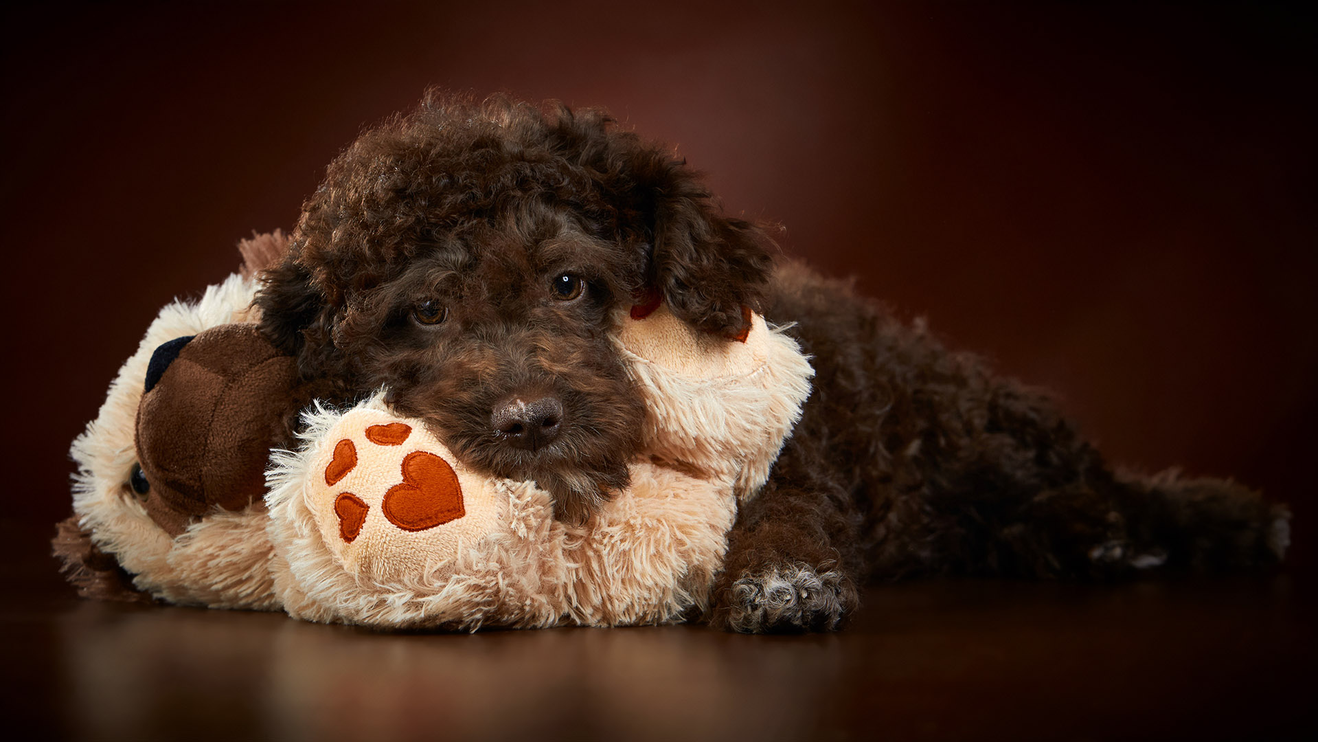 �����: ������� 2