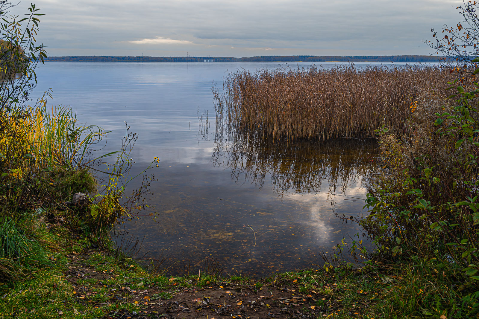 ������: �� ��������