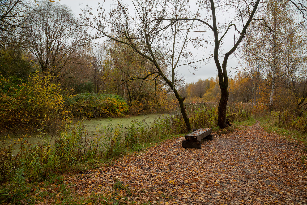 ������: �������� ����� �����....