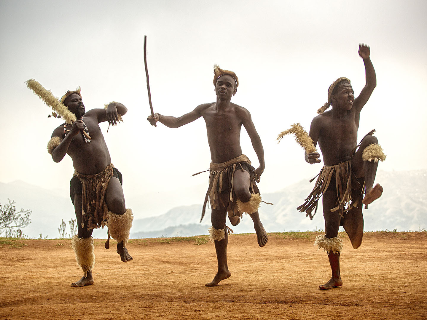 ������: ��������