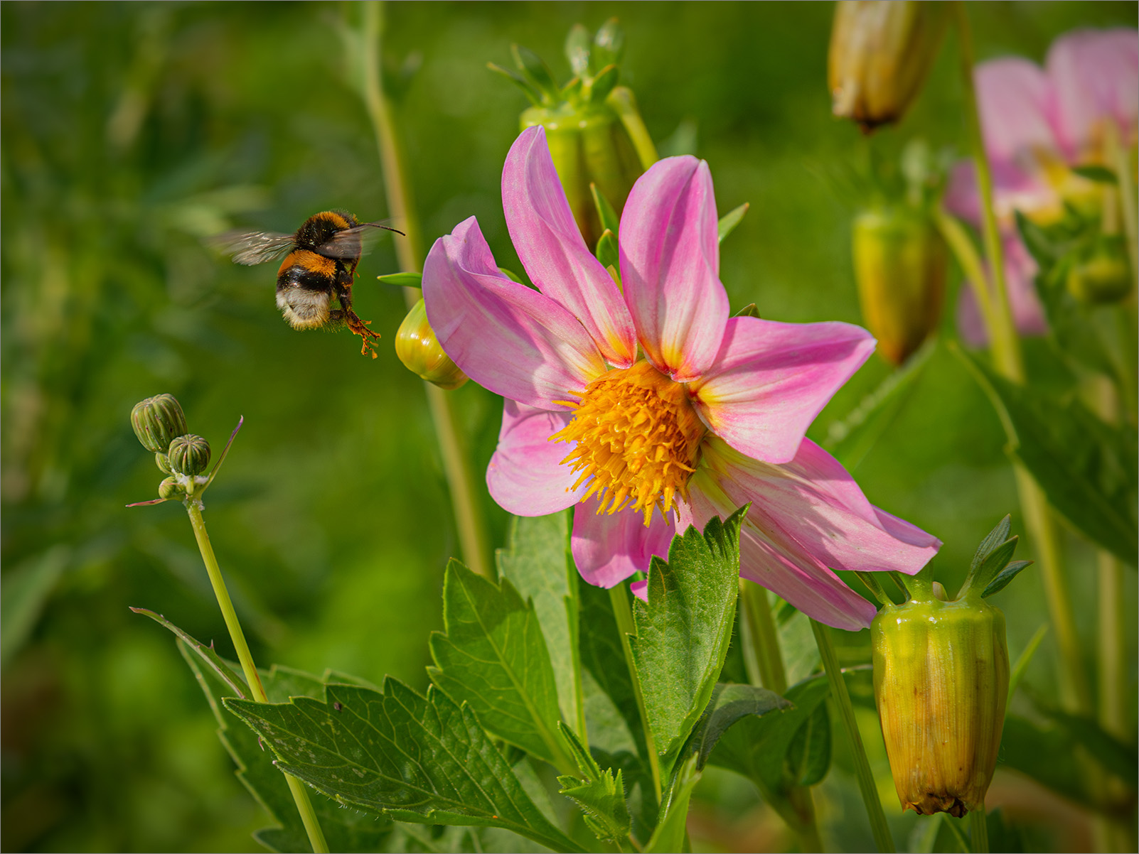 �����: �������� ����