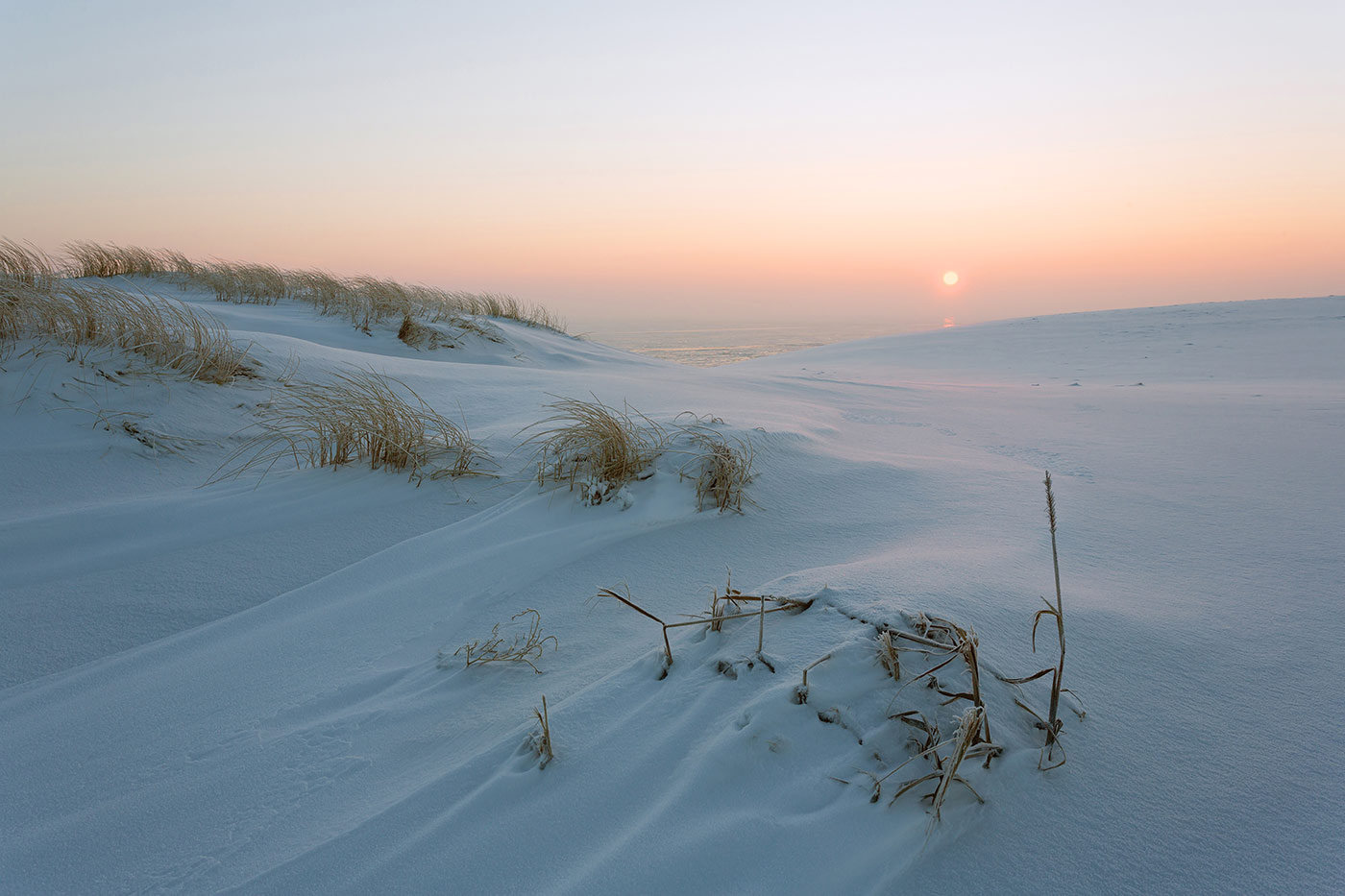 ������: ������