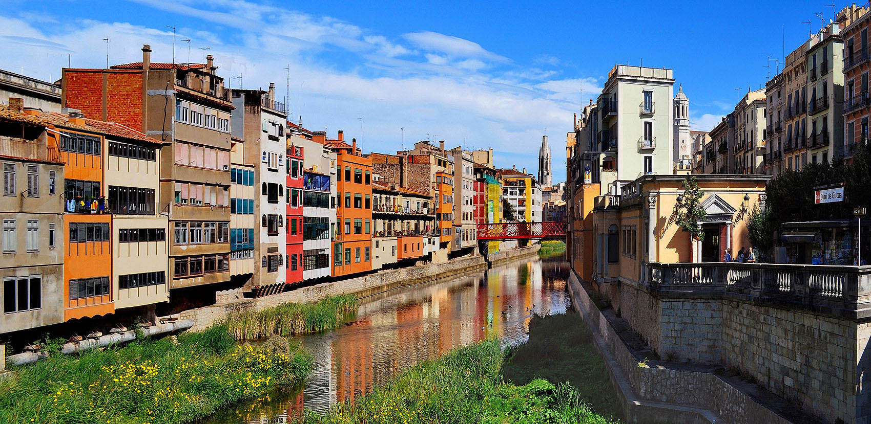 �����: ������