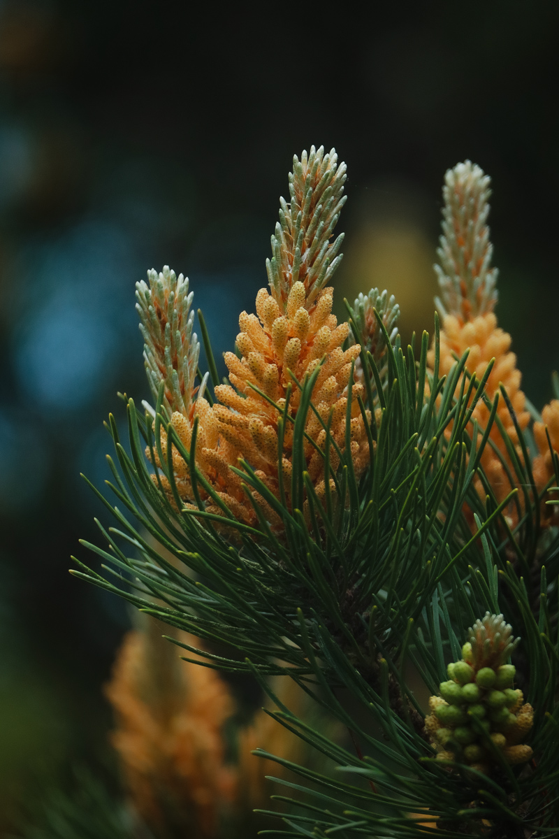 �����/����: ��������� ������ �����