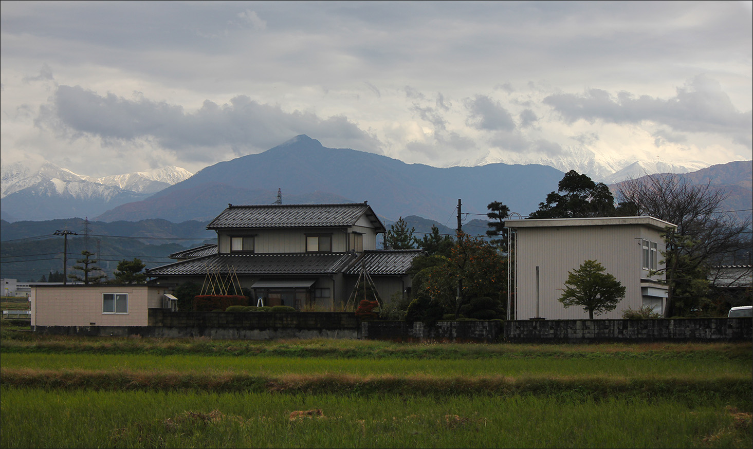 �����: ������� �����