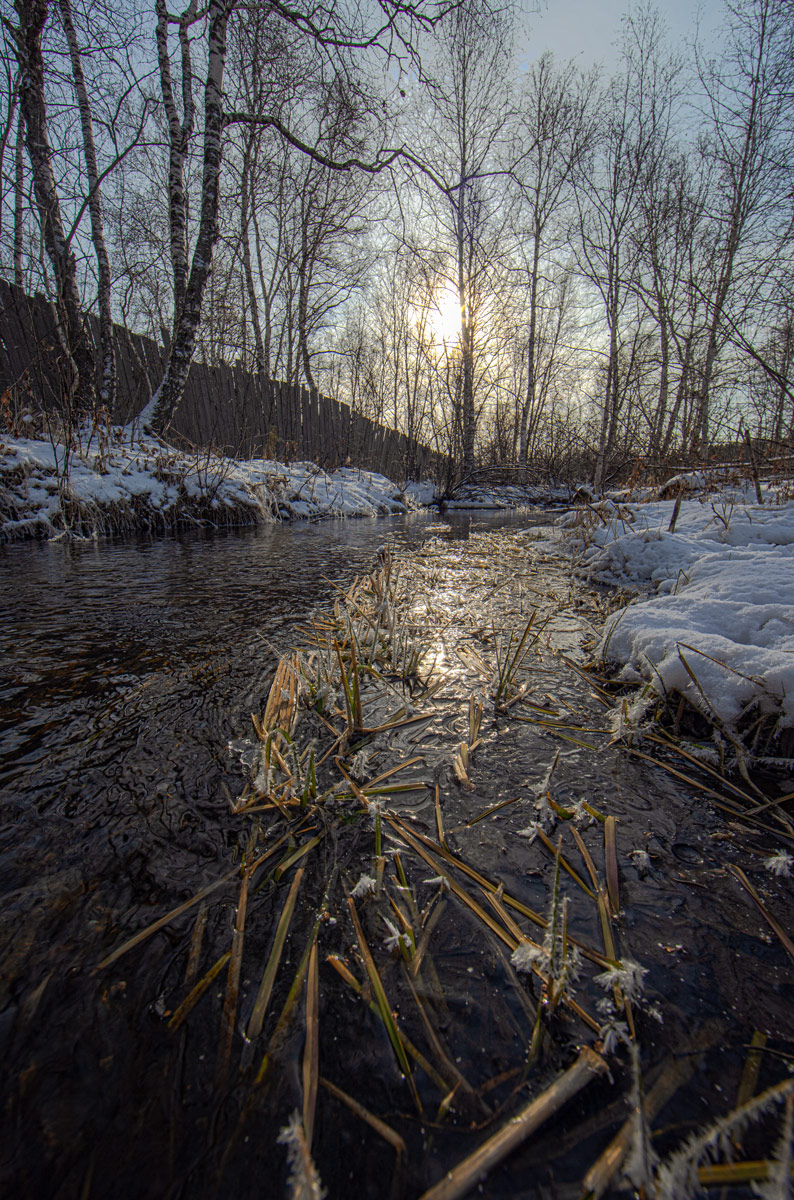 ������: ***