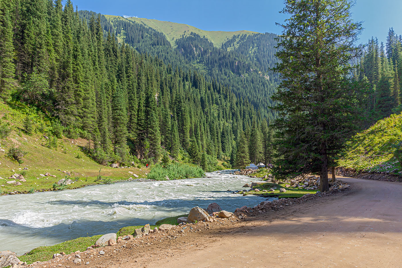 ������: ����� ��� 