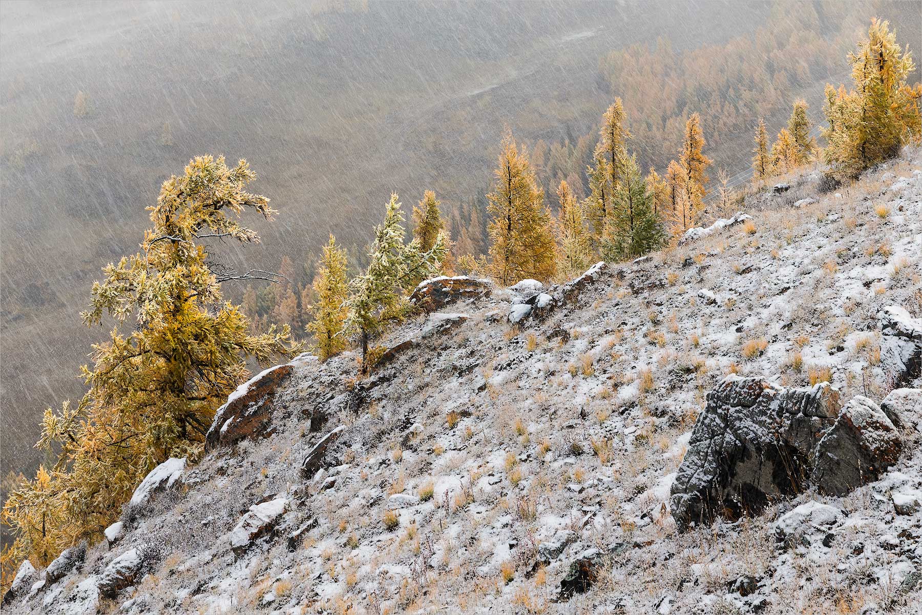 ������: ����� ��������� � ����.