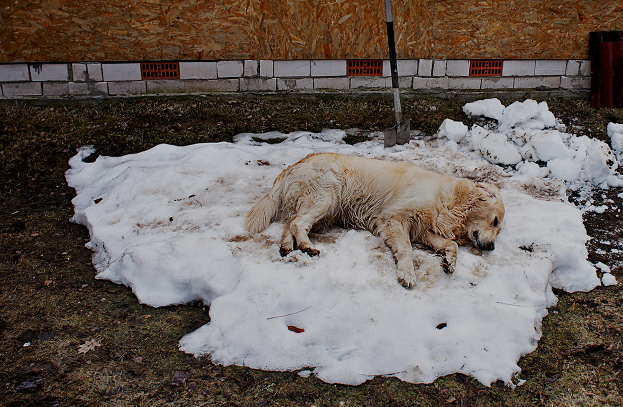 �����: ��������� ������