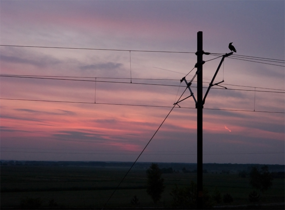 ������: ������....