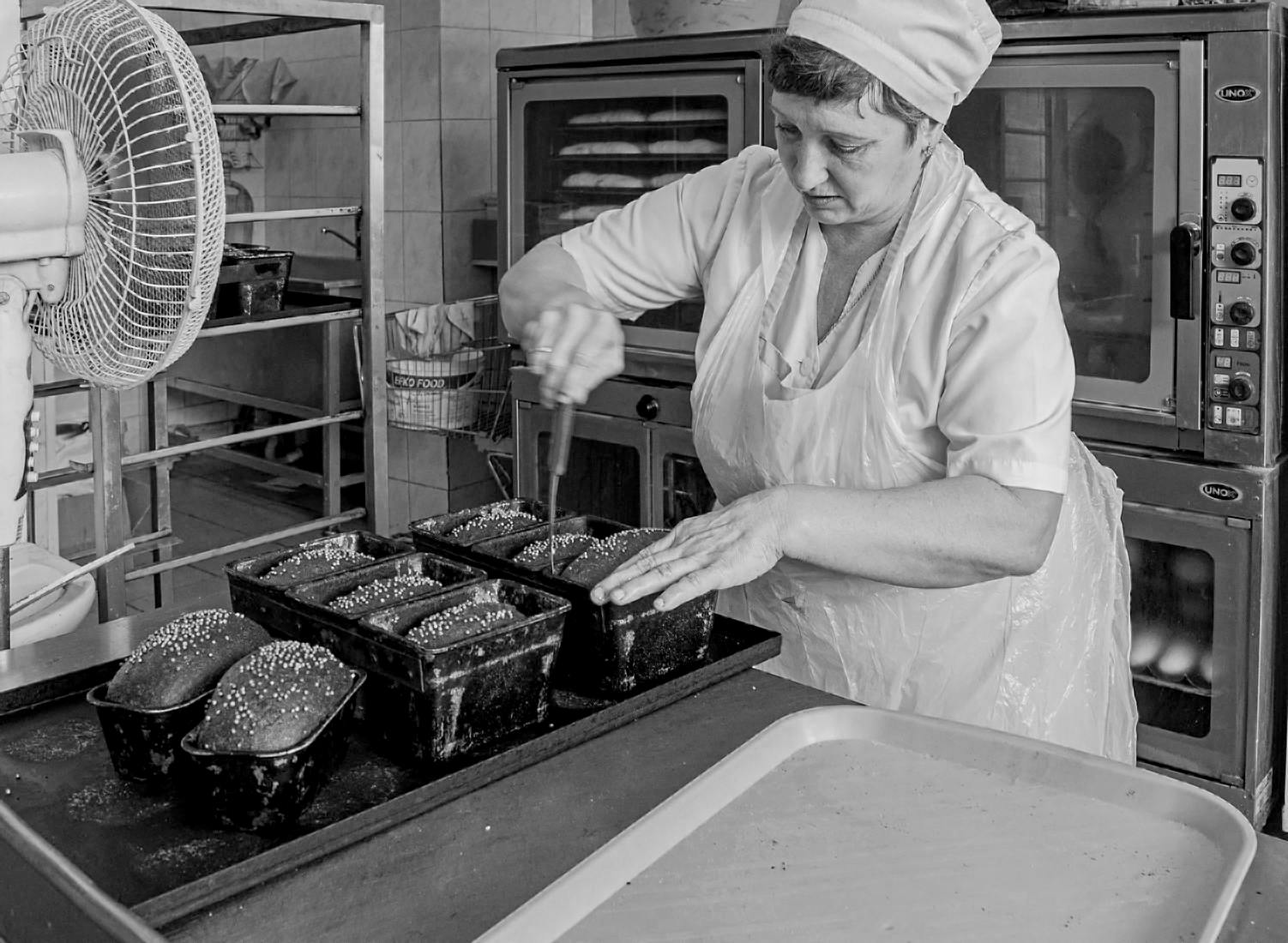 ����: �����������..