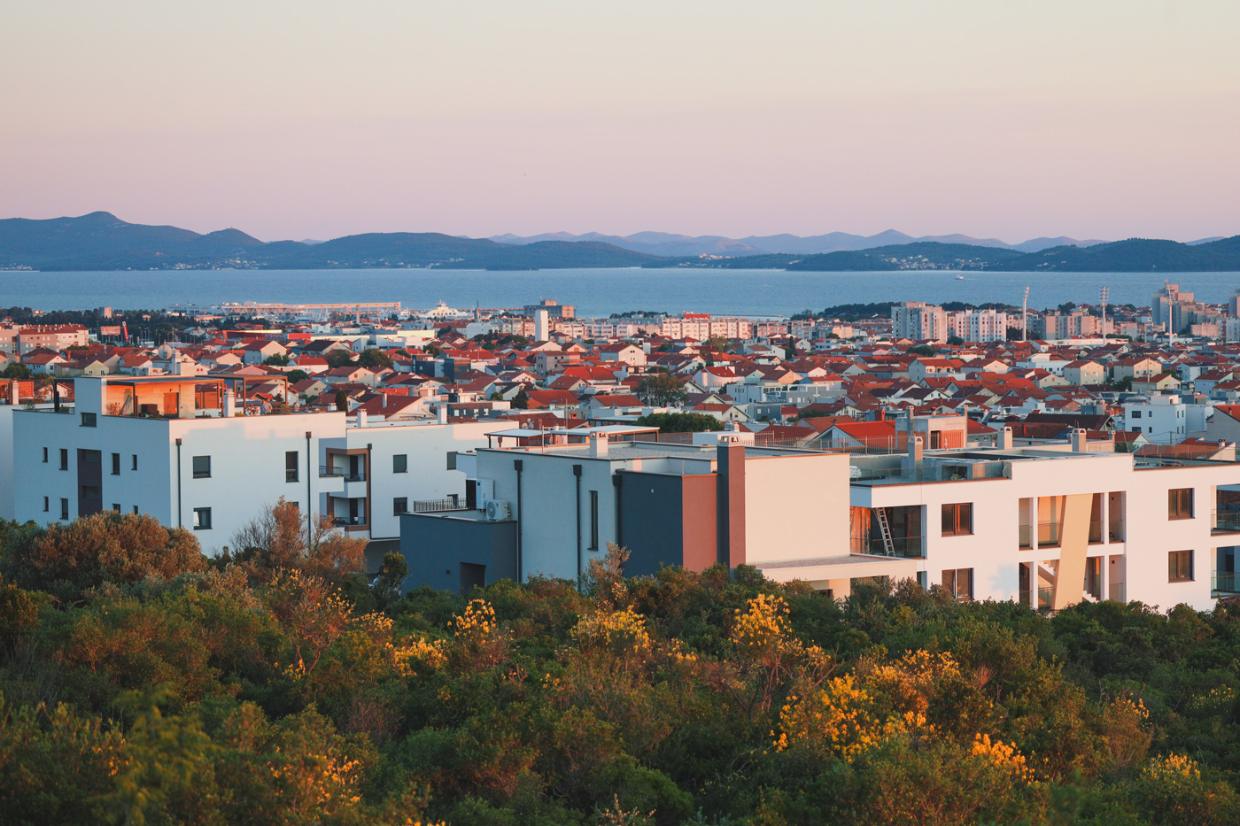 �����: �����, ��������