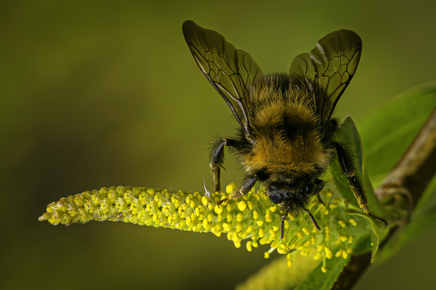 �����/����: ����