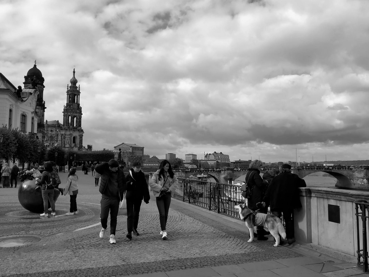 ����: ������