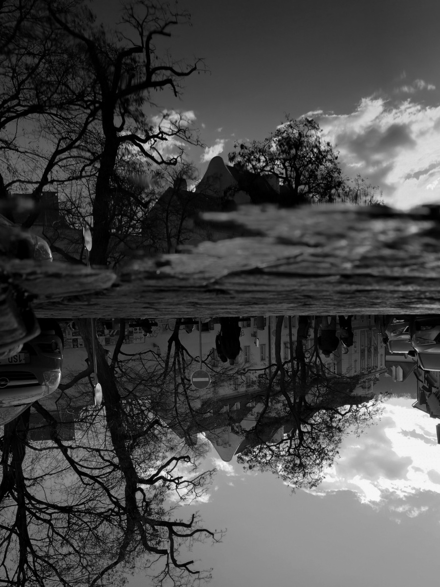 �����: �����