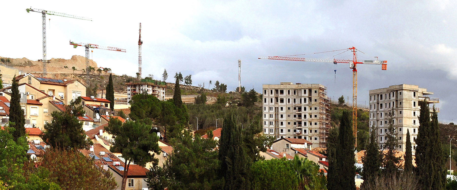 �����: ����� ����� �����-���