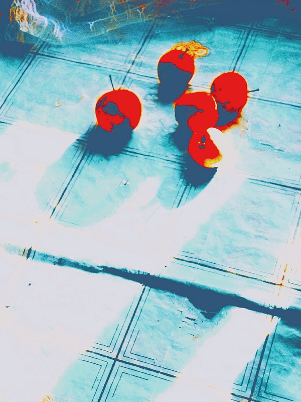 ���������: ����