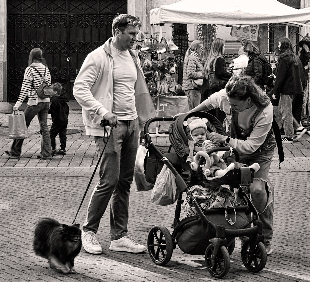 ����: �������� �����