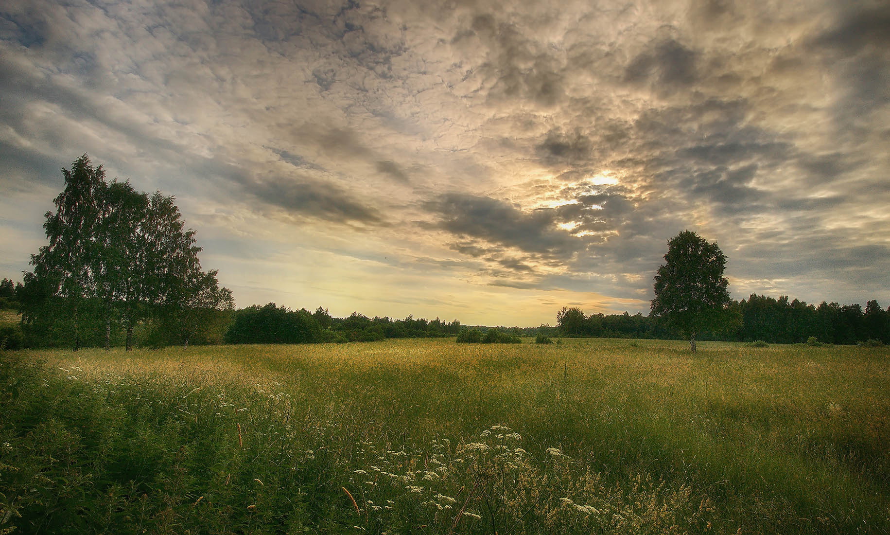 ������: ****