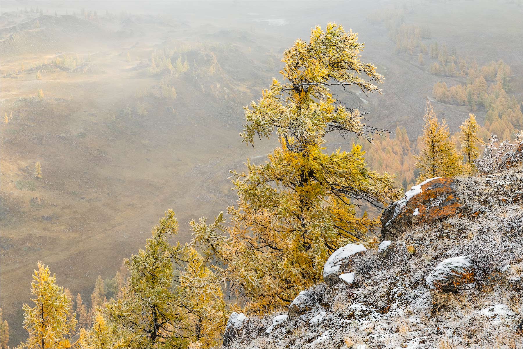 ������: ����������� ����.