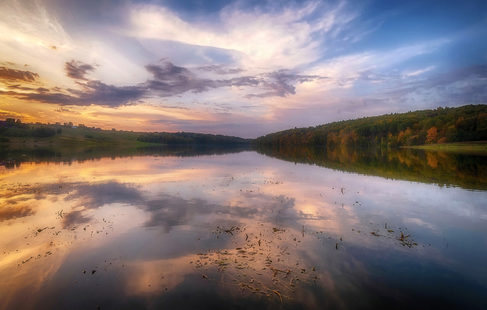 ������: ***