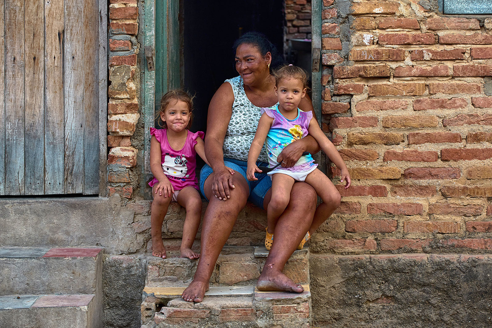 ����: ���������