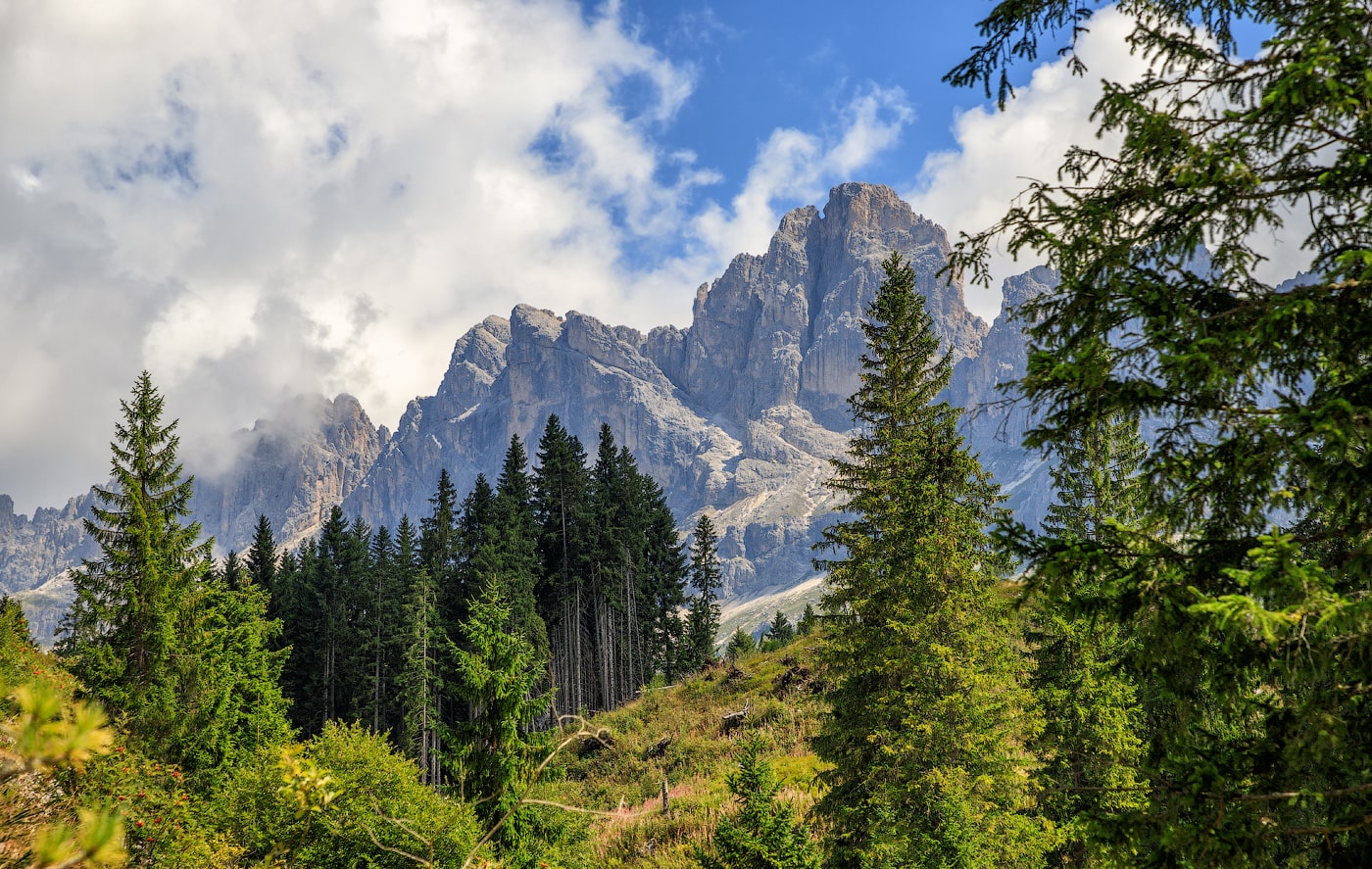 ������: ���������� �������...