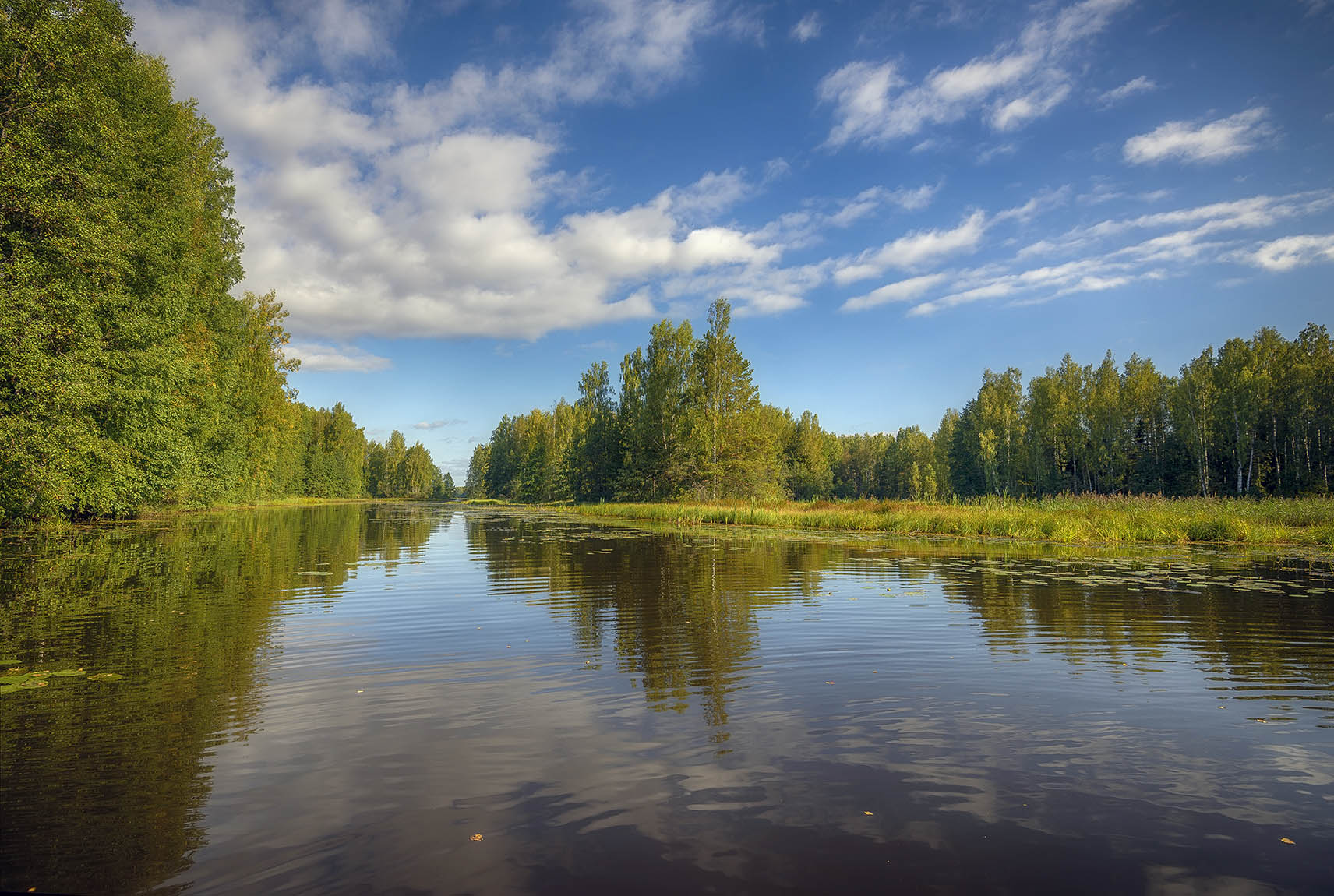 ������: ***