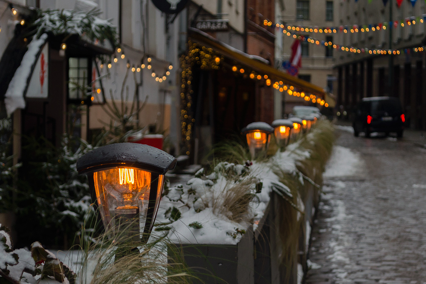 ������: �������