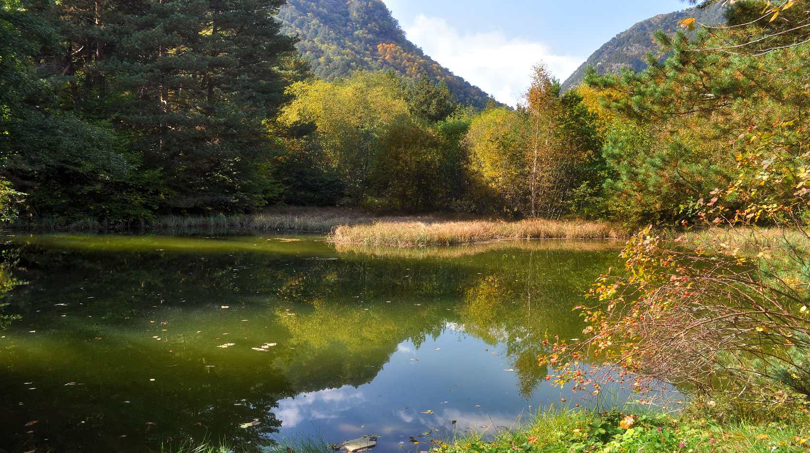 ������: ������� �������