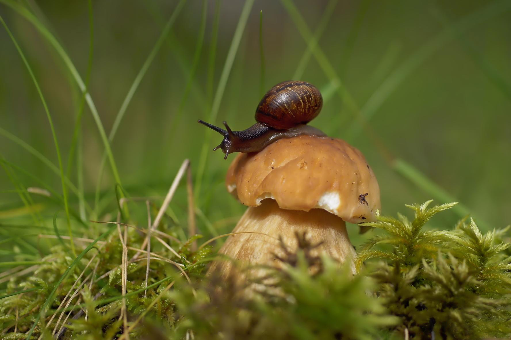 �����/����: �������